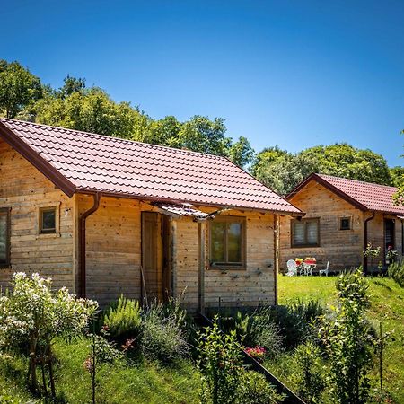 Boljesestre Lake Retreat Golubovci Buitenkant foto